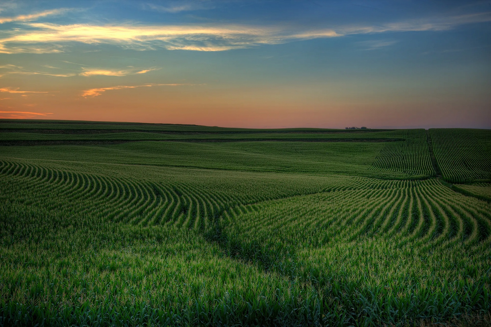 Iowa countryside at golden hour